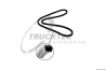 Ремень насоса ГУ 2.5TD Ford Transit 97-00 | TruckTec 01.19.184